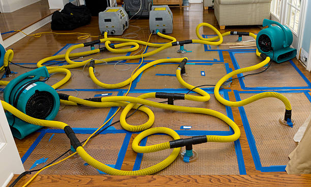 Professional Flood Damage Restoration technician working in Meadow Bridge, WV